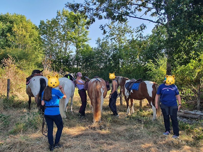 Les Chevaux des Bisettes - photo 3