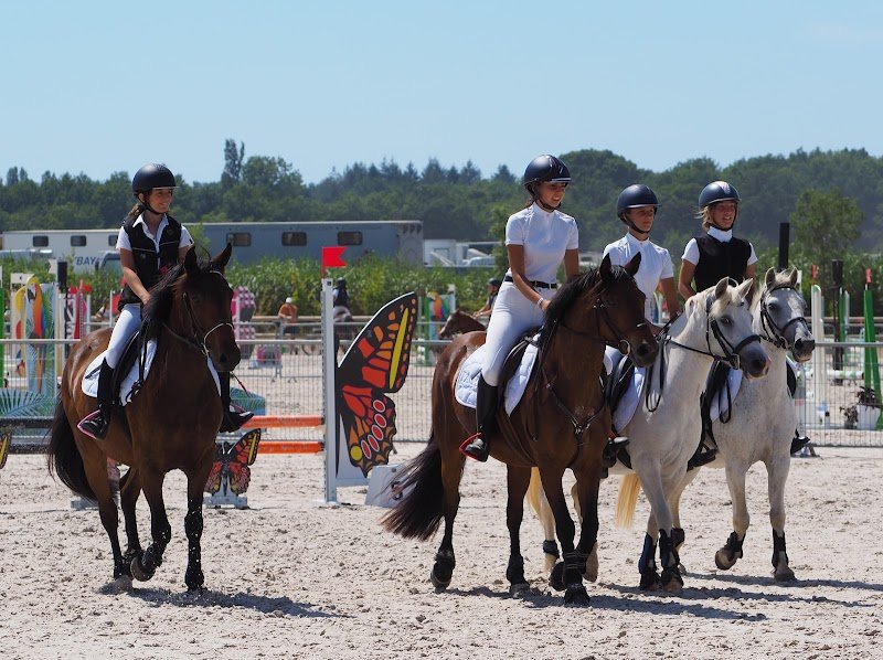 PONY RUN RUN - photo 2