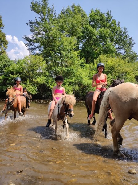 PONY RUN RUN - photo 3