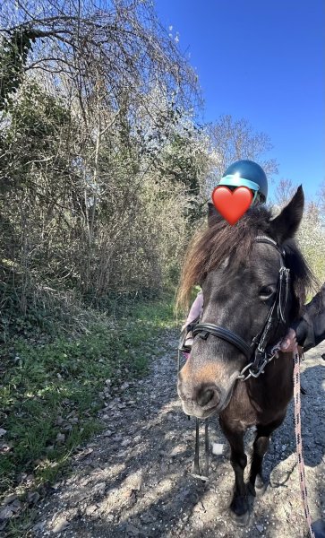 Haras du Bancel - photo 1