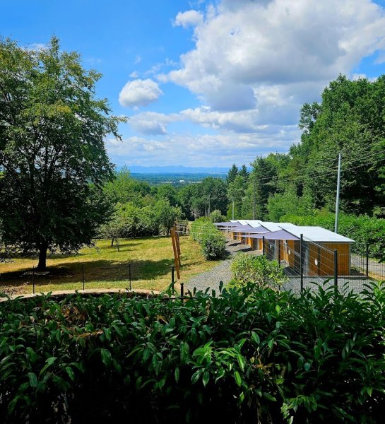Pension Élevage Dressage des Prodiges d'Auvergne - photo 2