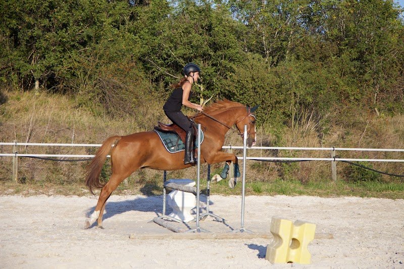 Centre Hippique du Val d'Orcet - photo 2