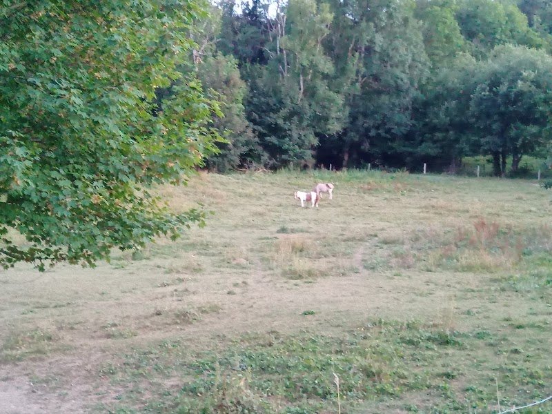 Centre Equestre du Mont Sans Souci