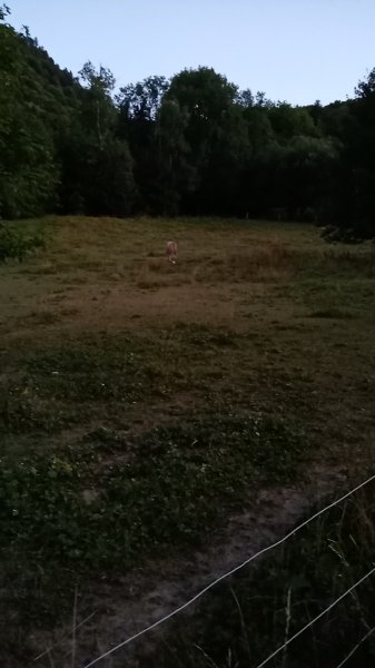 Centre Equestre du Mont Sans Souci - photo 3