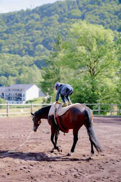 Les écuries de la Dordogne