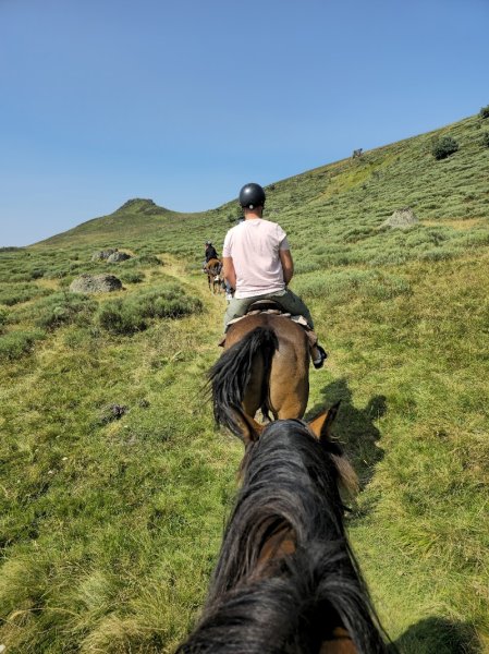 Sancy Cheval - photo 2
