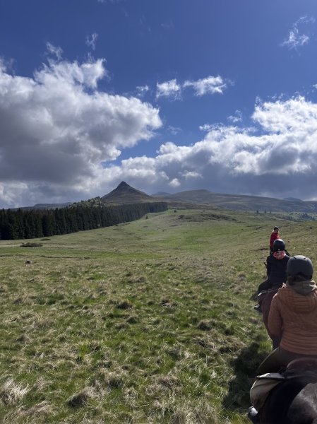 Sancy Cheval - photo 3