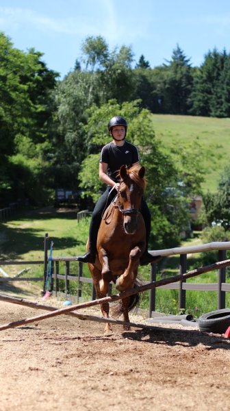 LE PONEY CERNAISE - photo 3