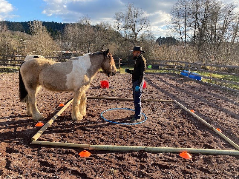Les écuries de Vert-Bois - photo 1