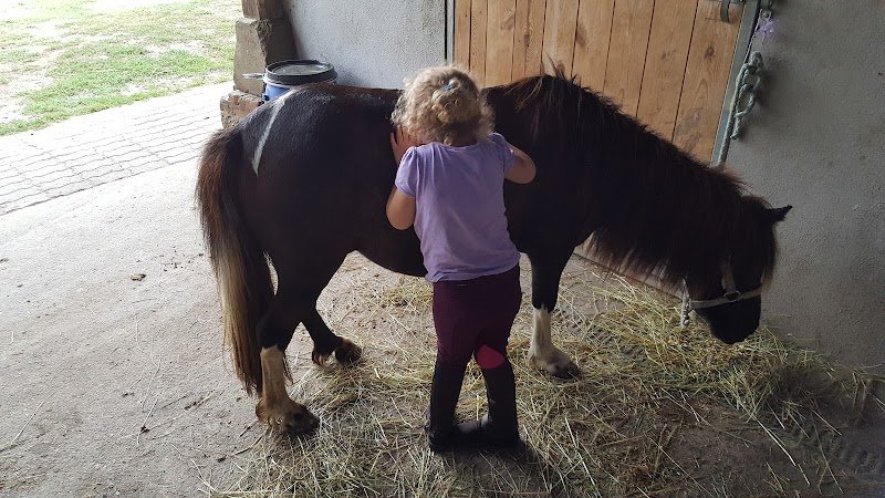 Poney club Ambre - photo 1