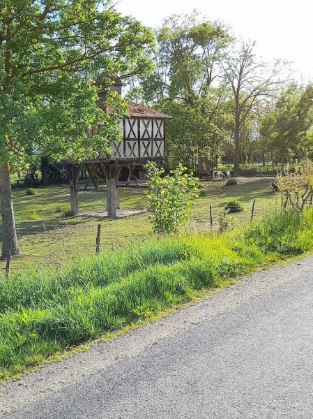 Ecurie Cavaleiro - photo 2