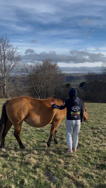 THOURIN.lby stables - photo 3