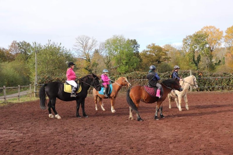 Les poneys des volcans - photo 1