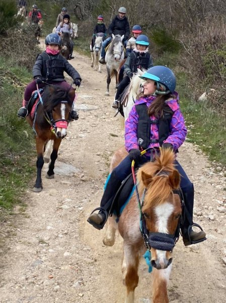 Les poneys des volcans - photo 2