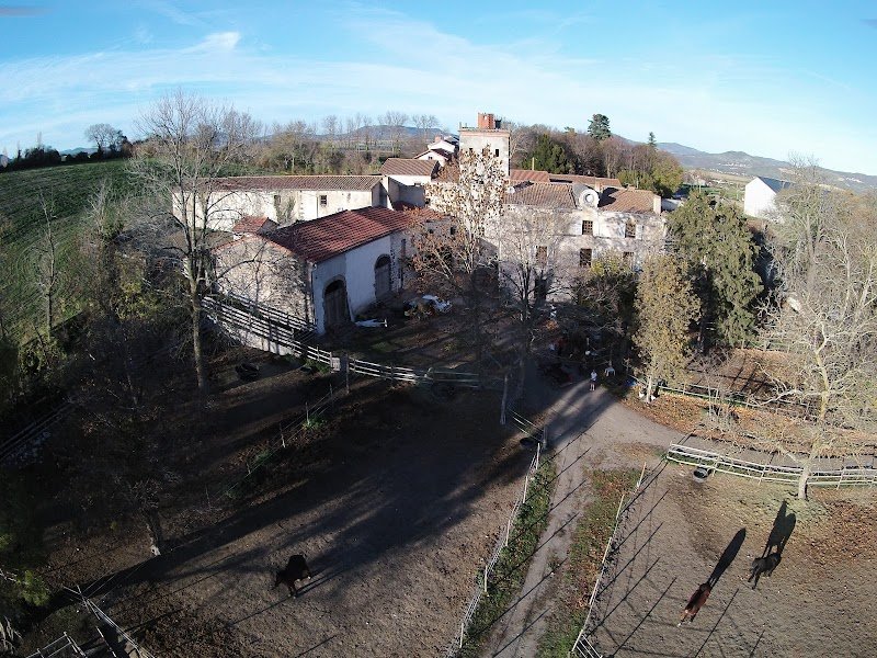 Ecurie de la Ronzière