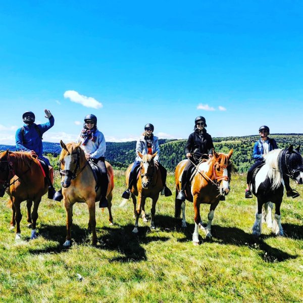 Gîte et Ferme Equestre de Montcodiol Delphine Gourbière - photo 3
