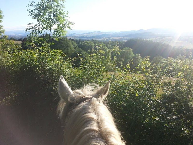 Centre équestre du Vignal