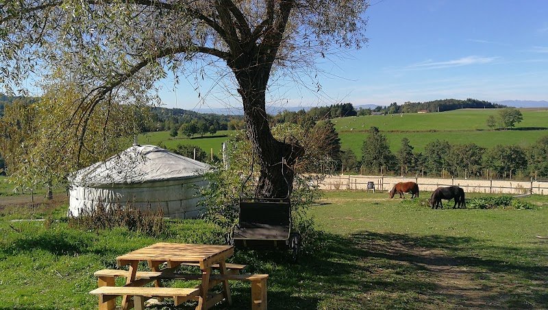 Centre équestre du Vignal - photo 2