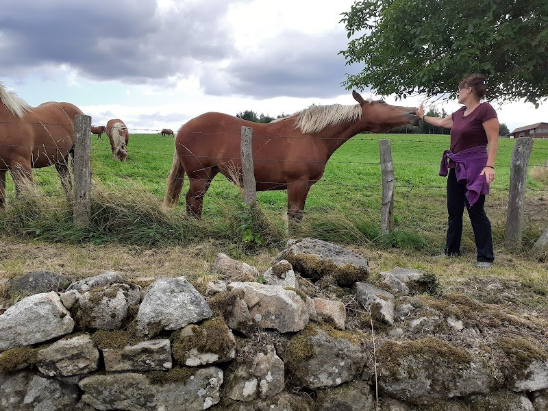 Chevaux Comtois du Livradois - photo 1