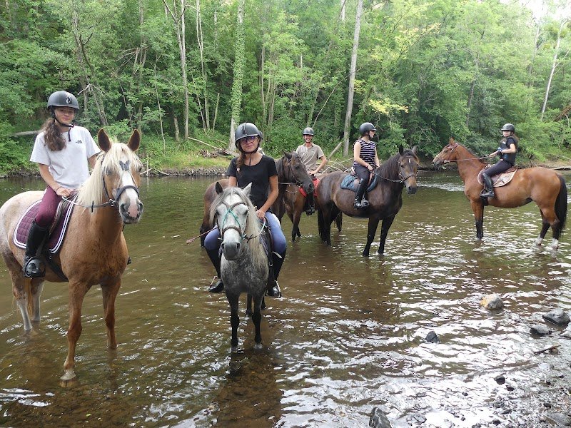 LES PONEYS D MOISSONS - photo 1