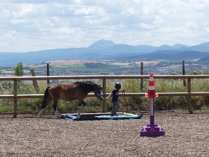 LES PONEYS D MOISSONS - photo 2