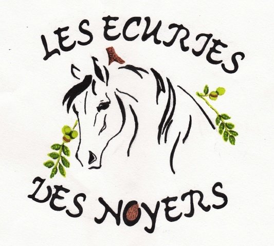 Ecuries des Noyers - photo 1