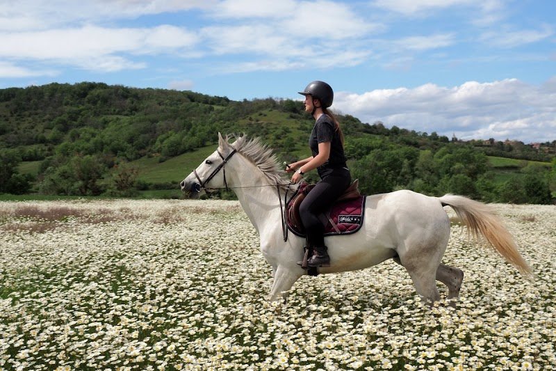 CENTRE EQUESTRE DE MONTCELET - photo 1