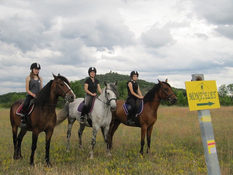 CENTRE EQUESTRE DE MONTCELET - photo 2