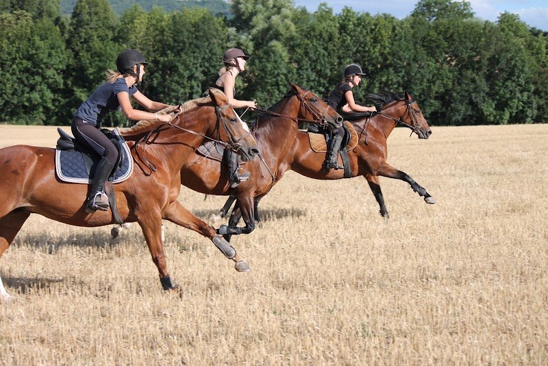CENTRE EQUESTRE DE MONTCELET - photo 3