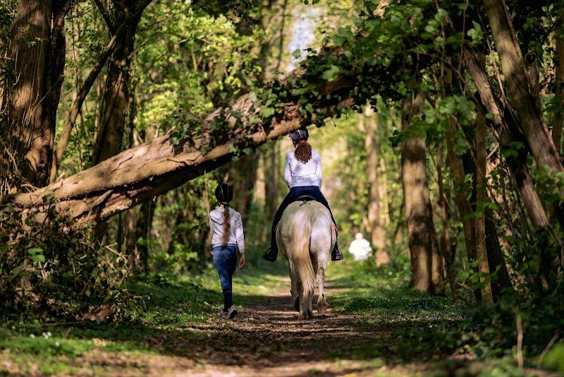 Centre Equestre 91 - Écuries de Trousseau Ris-Orangis - photo 3