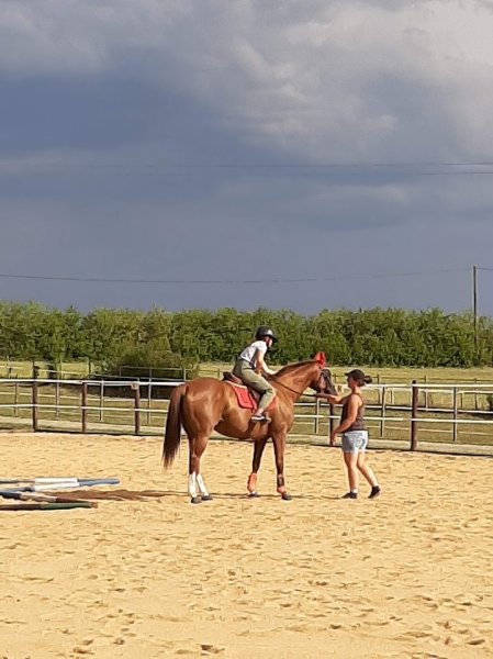 Écurie Karine DERCOURT