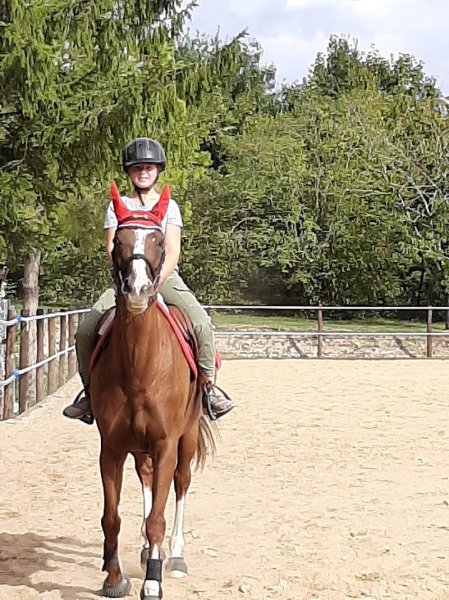 Écurie Karine DERCOURT - photo 2