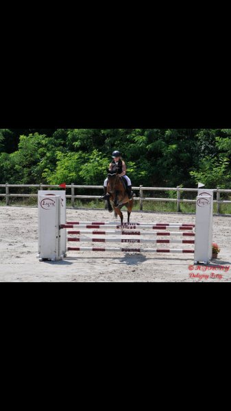 Écurie Karine DERCOURT - photo 3