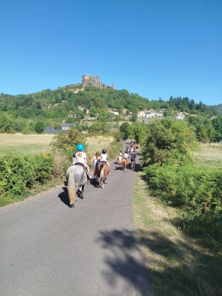 Western Poneys - photo 1