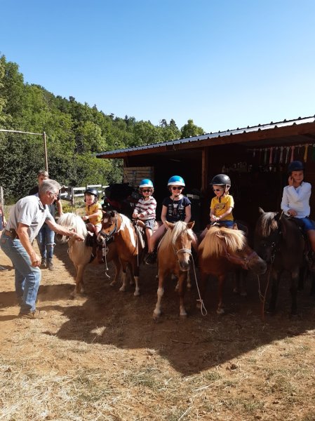 Western Poneys - photo 2