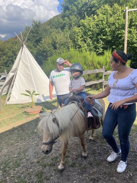 Western Poneys - photo 3