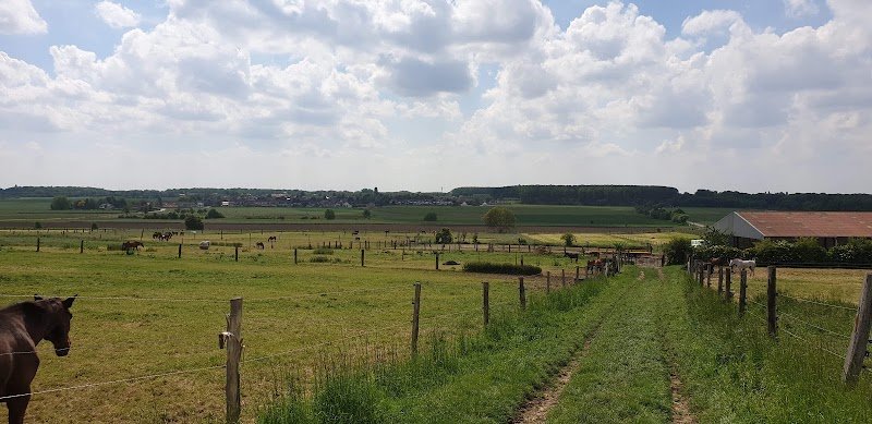 Ecuries de Deux-Villes - photo 2