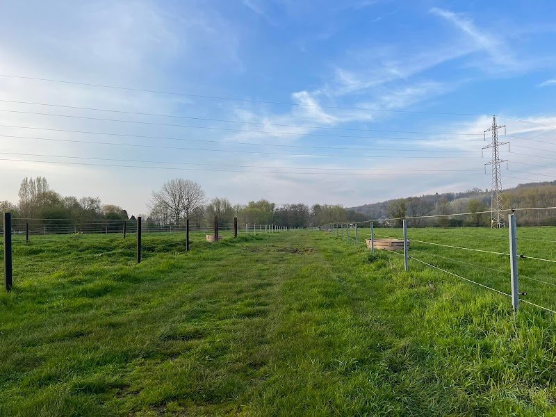 Les écurie de Mesvin - photo 2