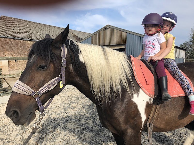 Ecurie«Dessine-moi Un Cheval» - photo 1