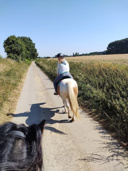 Ecurie«Dessine-moi Un Cheval» - photo 3