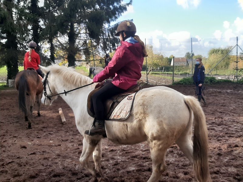 Ecurie Du Bélian - photo 2