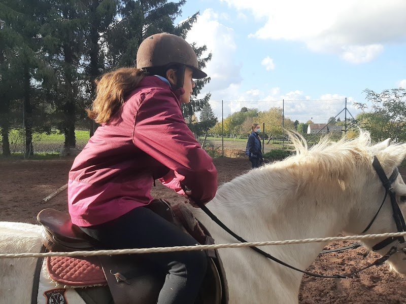 Ecurie Du Bélian - photo 3