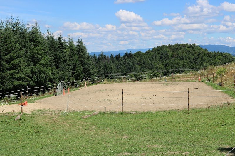 Ferme Équestre & Pédagogique de Chantaigut - photo 2
