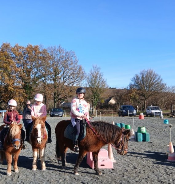 Les Poneys Bleus - photo 1