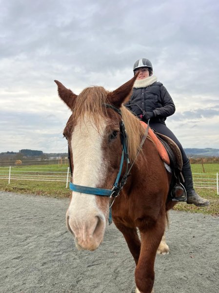 Les Poneys Bleus - photo 2