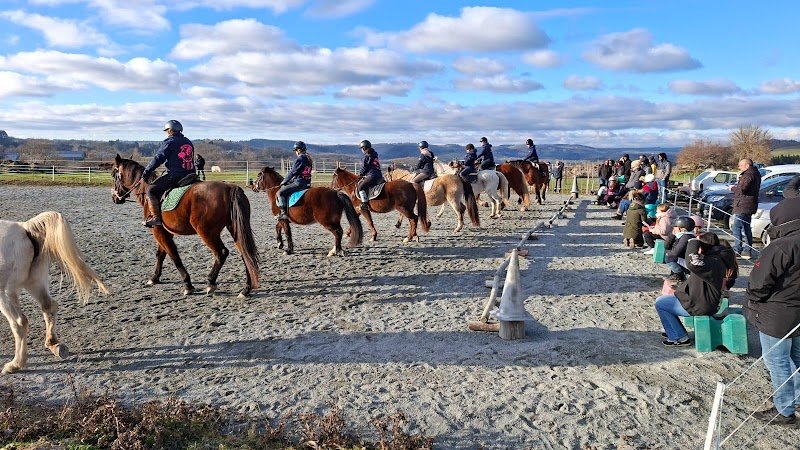 Les Poneys Bleus - photo 3