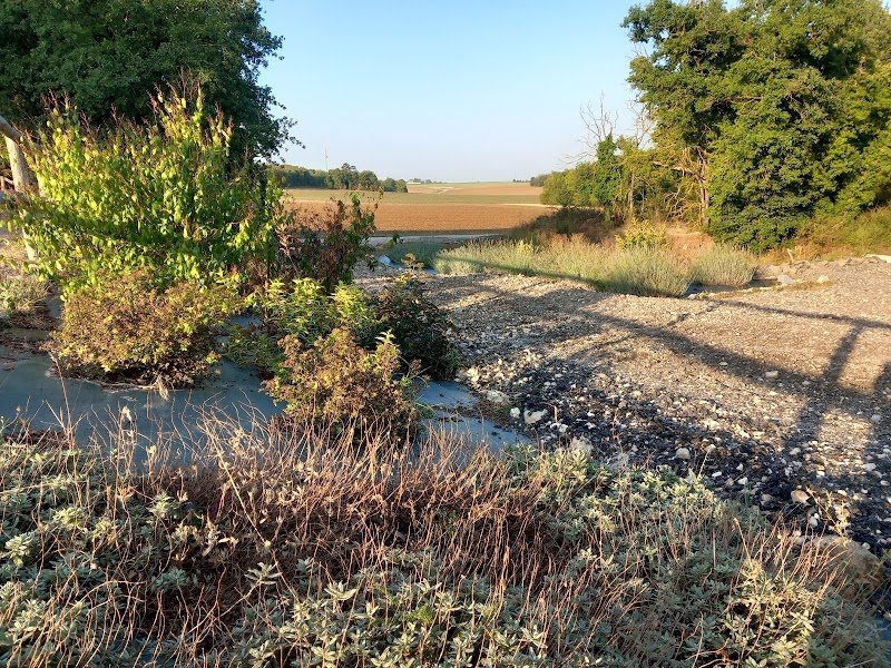 Écurie Vincent Morin - photo 3