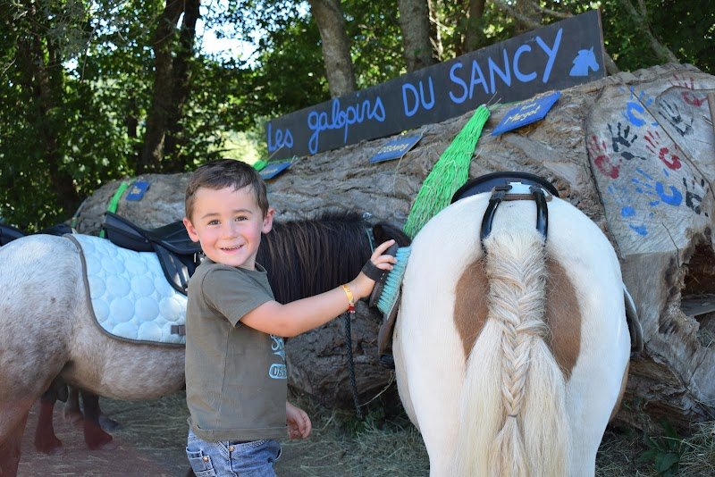 Galopins du Sancy - Balades à poney - photo 1