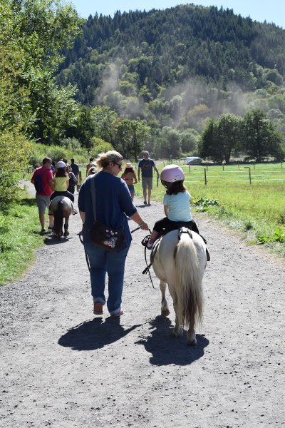 Galopins du Sancy - Balades à poney - photo 2