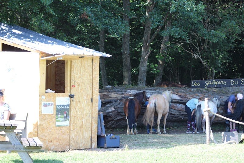 Galopins du Sancy - Balades à poney - photo 3